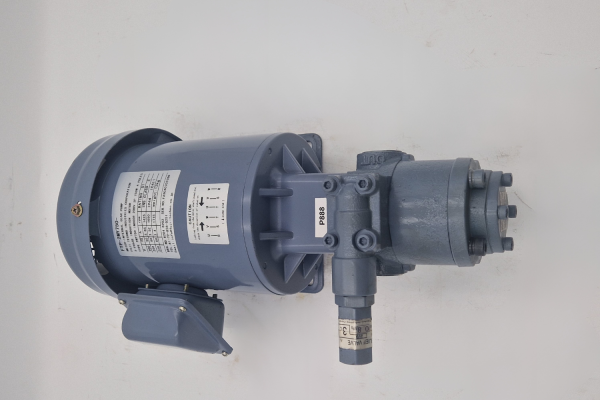 Motor Internal Gear Pump FTP-2MY750