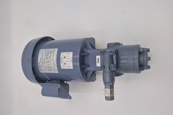 Motor internal gear pump FTP-2MY750